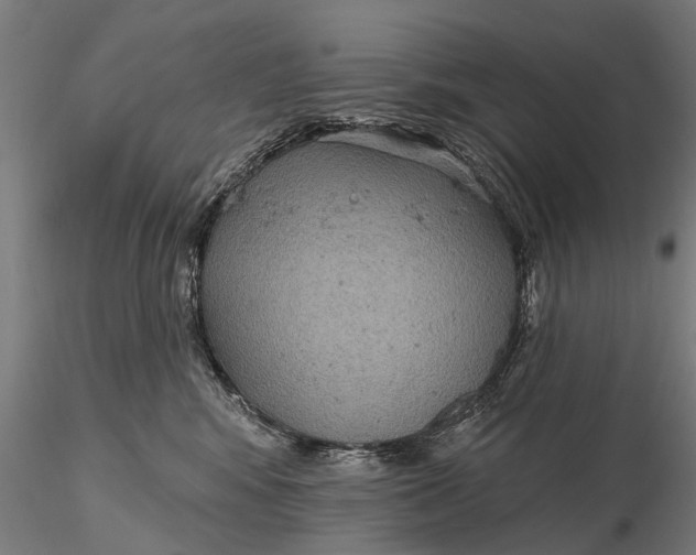 X0000115610424200912011555