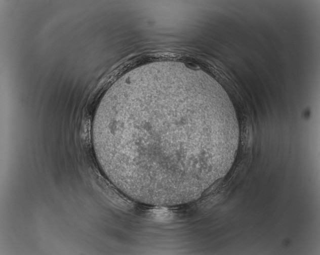 X0000115610425200912011555