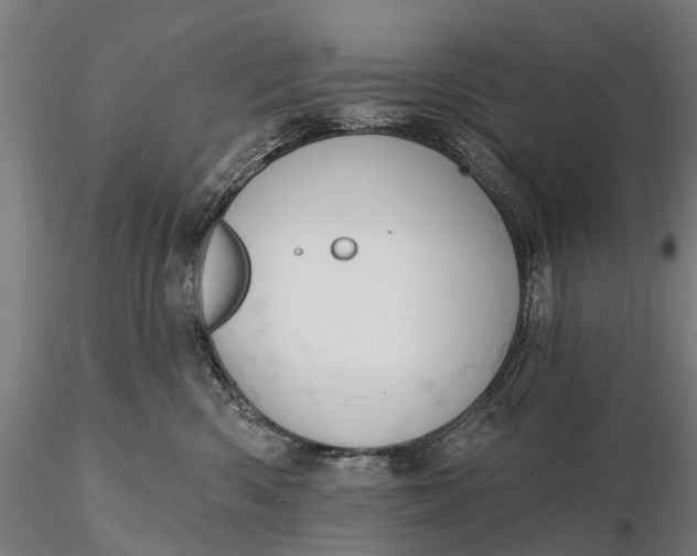 X0000115610426200912011555