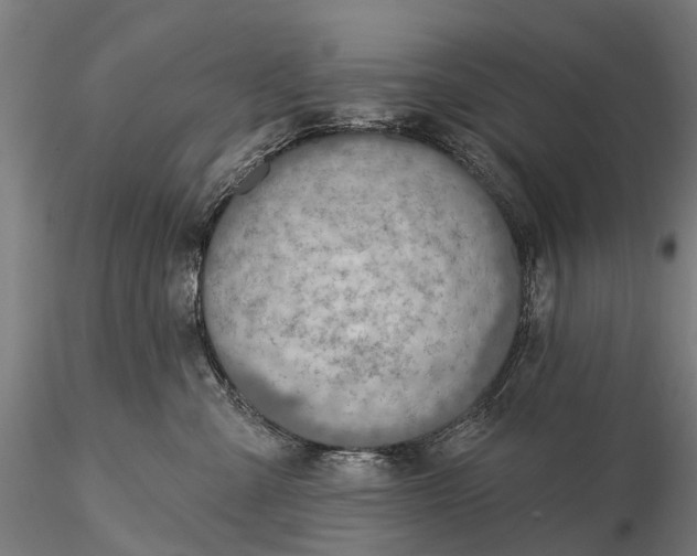 X0000115610427200912011555
