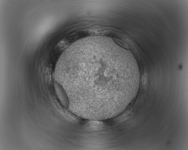 X0000115610429200912011555