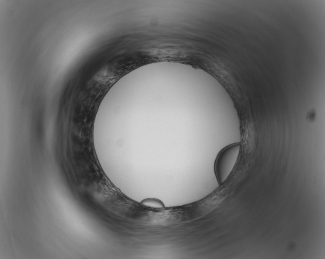 X0000115610430200912011555