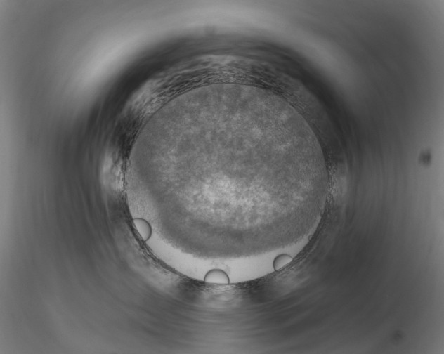 X0000115610431200912011555