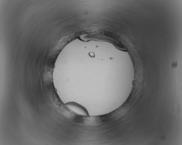 X0000115610432200912011555