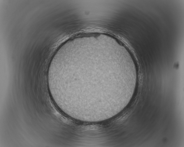 X0000115610433200912011554