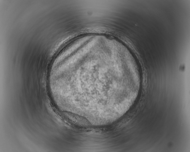 X0000115610434200912011554