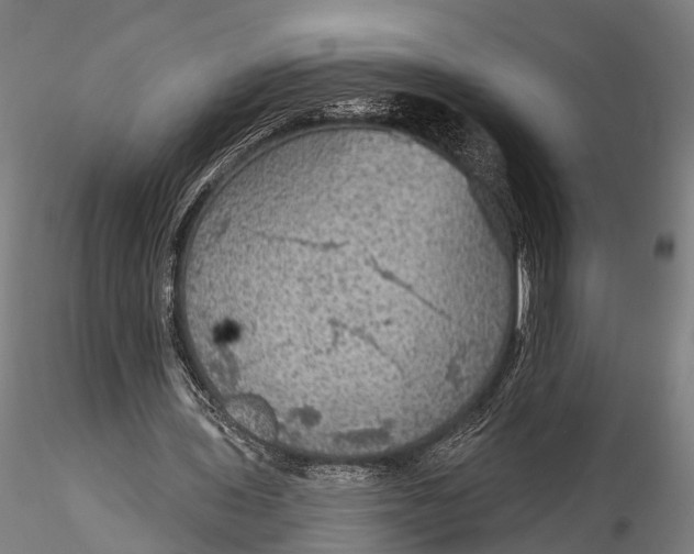 X0000115610435200912011554