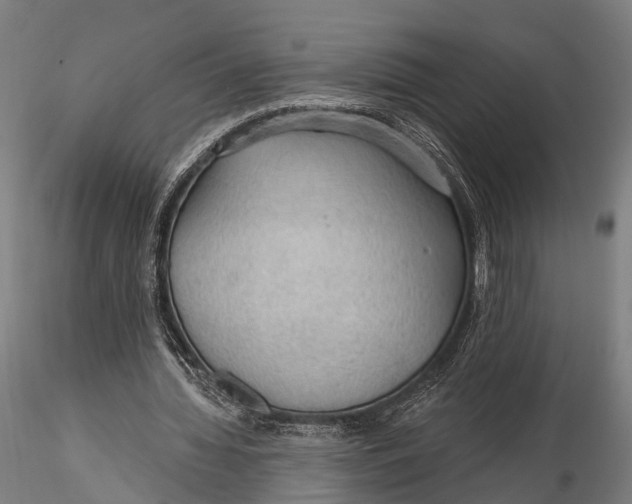 X0000115610436200912011554