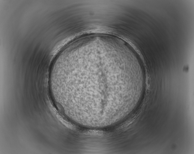 X0000115610437200912011554