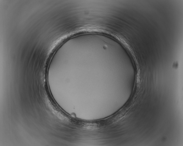 X0000115610438200912011554