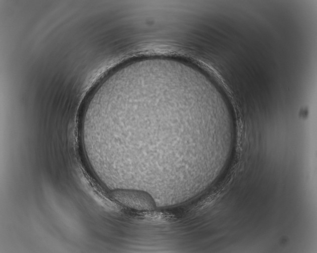 X0000115610439200912011554