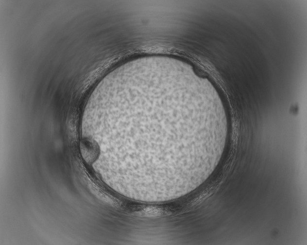 X0000115610441200912011554