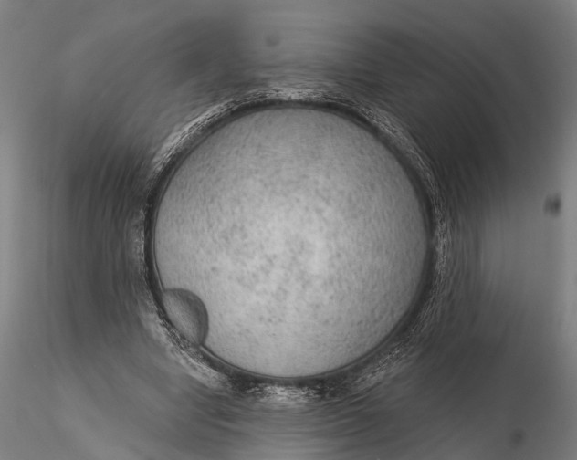 X0000115610442200912011554