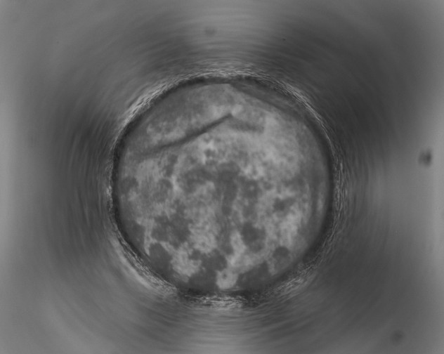 X0000115610443200912011554