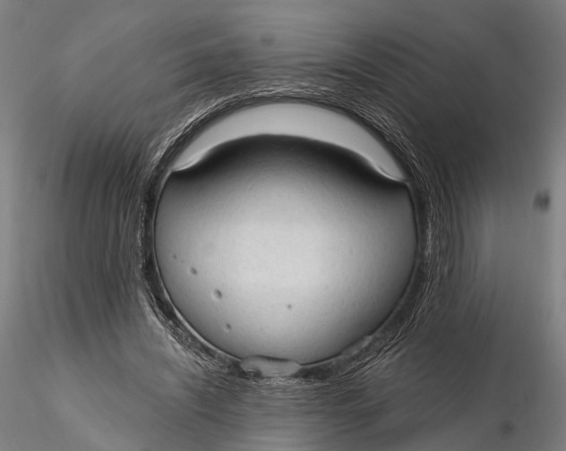 X0000115610444200912011555