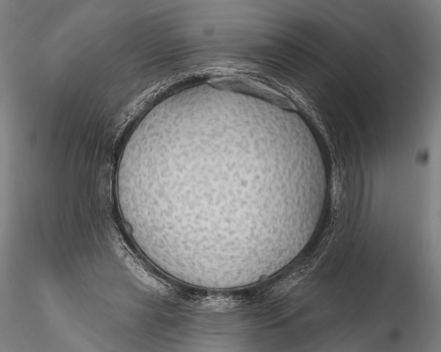 X0000115610445200912011555