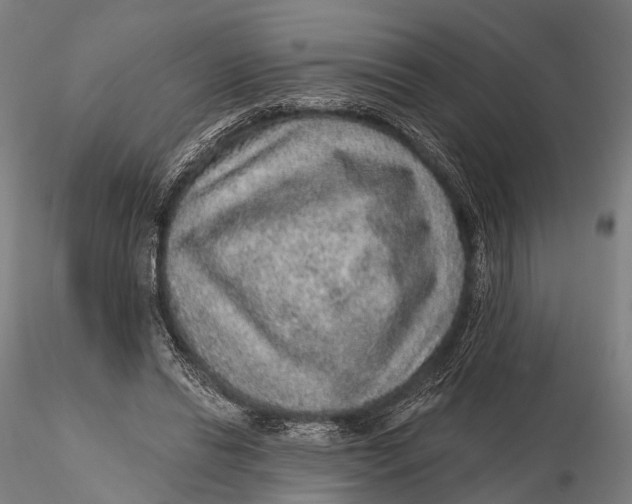 X0000115610446200912011555