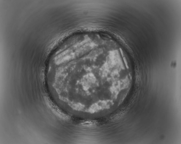 X0000115610447200912011555