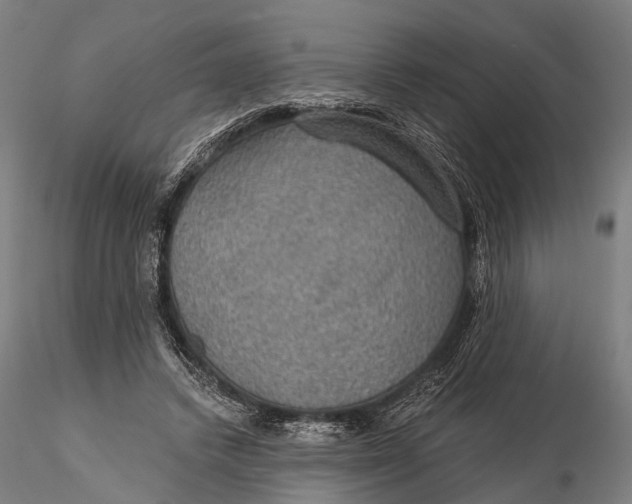 X0000115610448200912011555