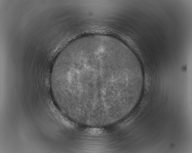 X0000115610449200912011555