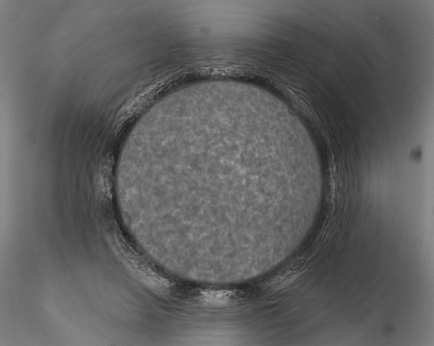 X0000115610450200912011555