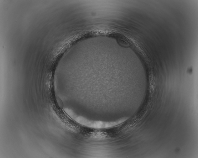 X0000115610451200912011555