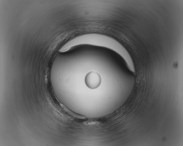 X0000115610452200912011555