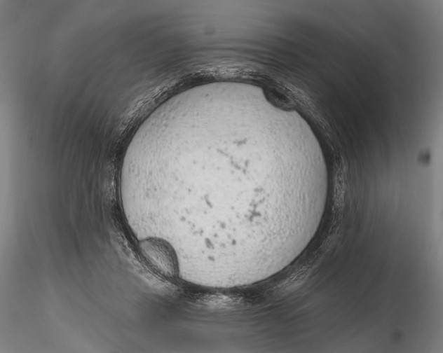 X0000115610453200912011555