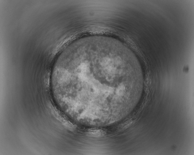 X0000115610454200912011555