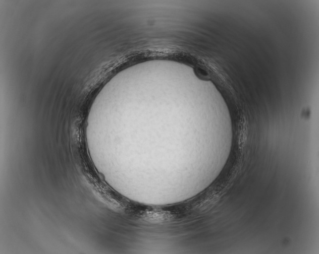 X0000115610455200912011555