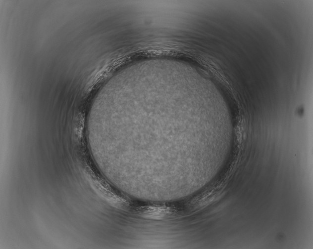 X0000115610458200912011555