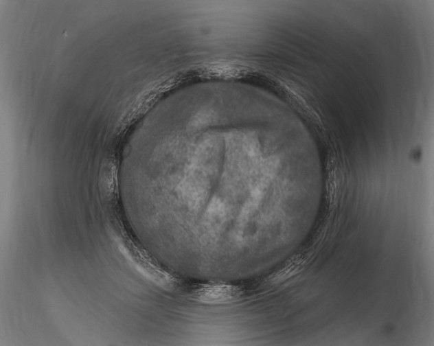 X0000115610459200912011555