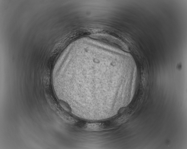 X0000115610461200912011555