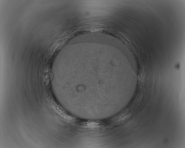 X0000115610462200912011555