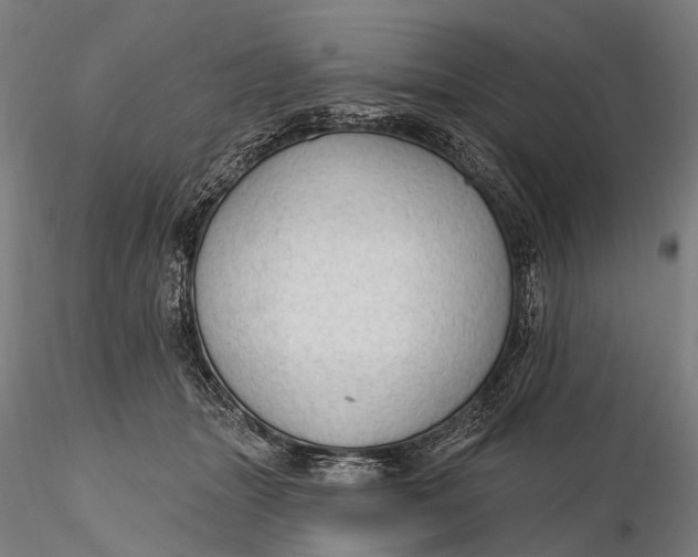 X0000115610463200912011555