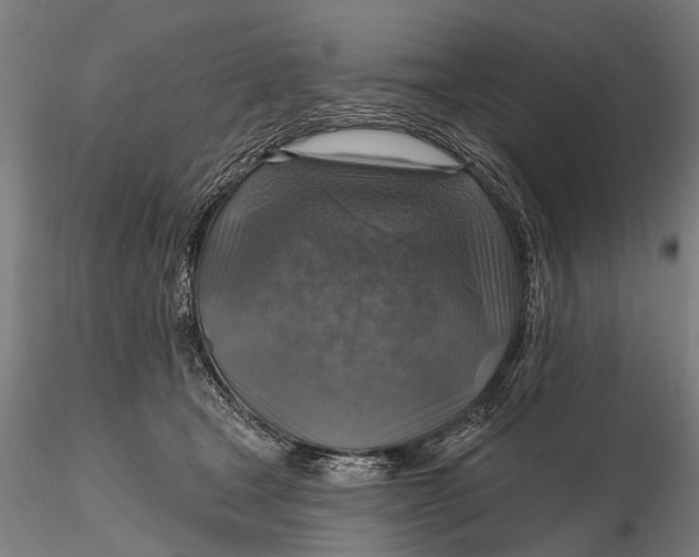 X0000115610465200912011555