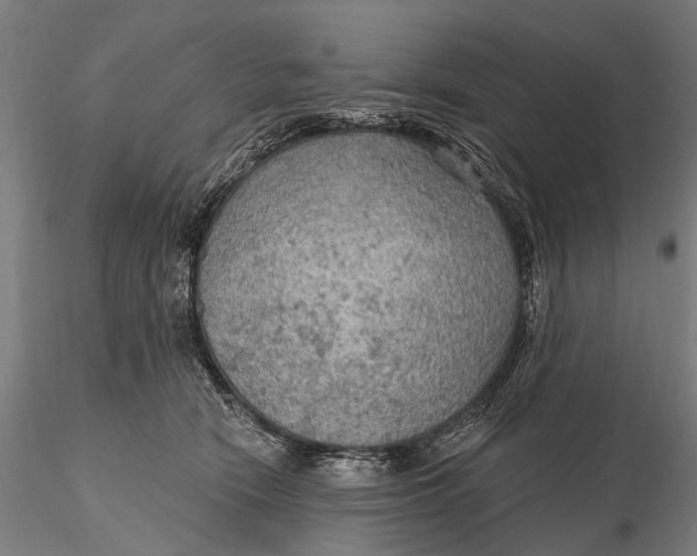 X0000115610466200912011555
