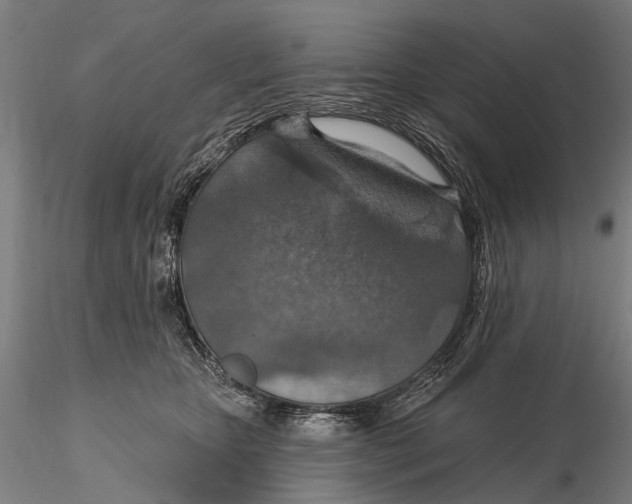 X0000115610467200912011555