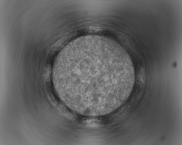 X0000115610468200912011555