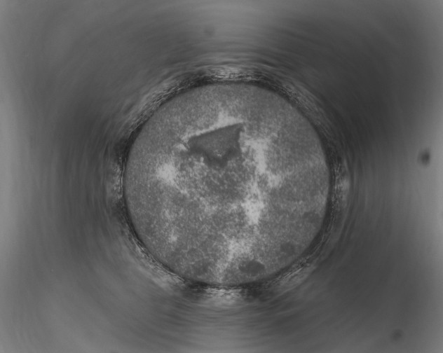 X0000115610469200912011555