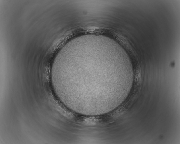 X0000115610470200912011555