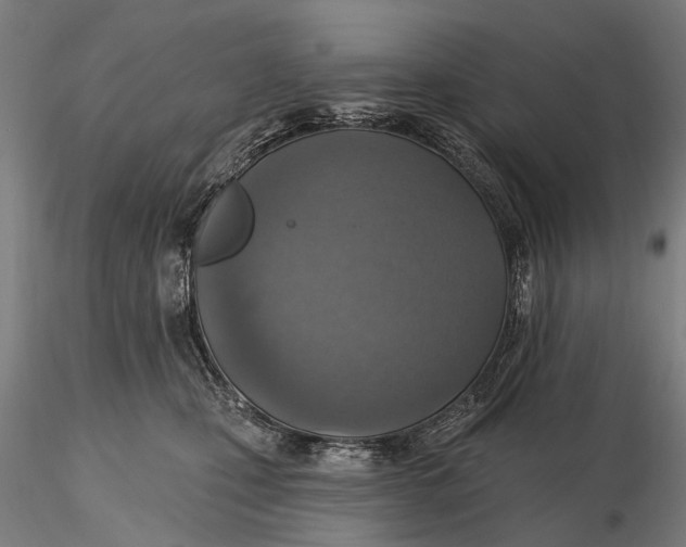 X0000115610471200912011555