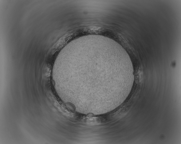 X0000115610472200912011555