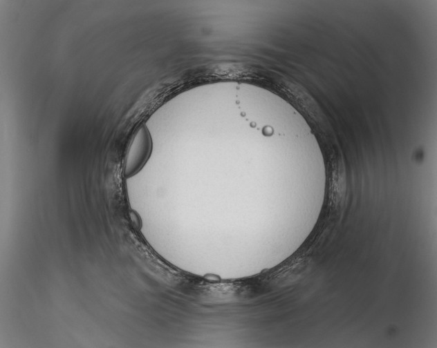 X0000115610473200912011555