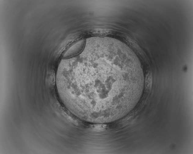 X0000115610474200912011555