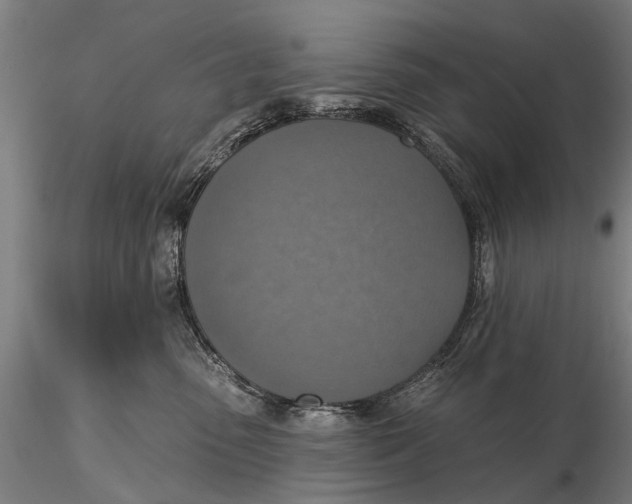 X0000115610475200912011555