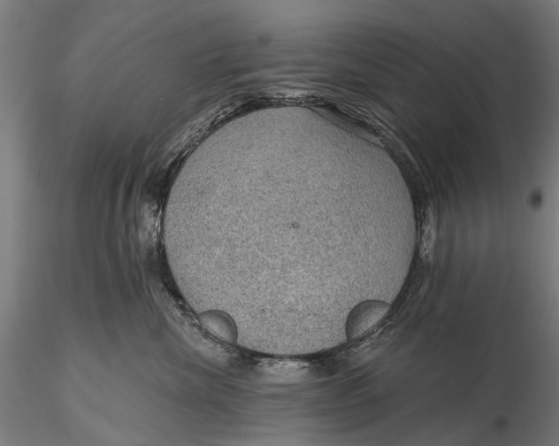 X0000115610476200912011555