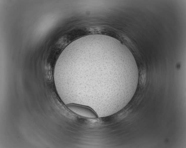 X0000115610477200912011555