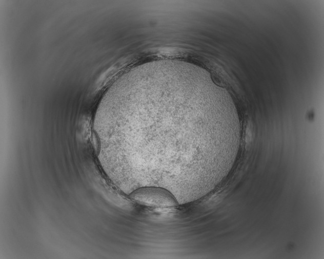X0000115610478200912011555