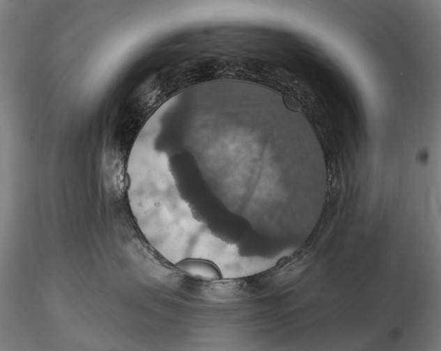 X0000115610479200912011555